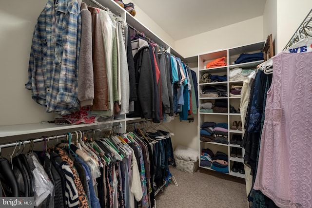 spacious closet with carpet floors