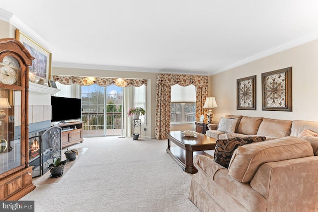 living area with carpet floors and ornamental molding