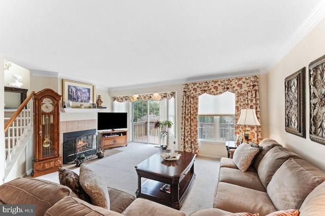 carpeted living area with stairs, a fireplace, baseboards, and crown molding