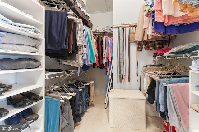 view of spacious closet