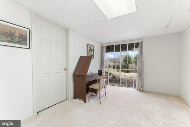 office space with a paneled ceiling and carpet flooring