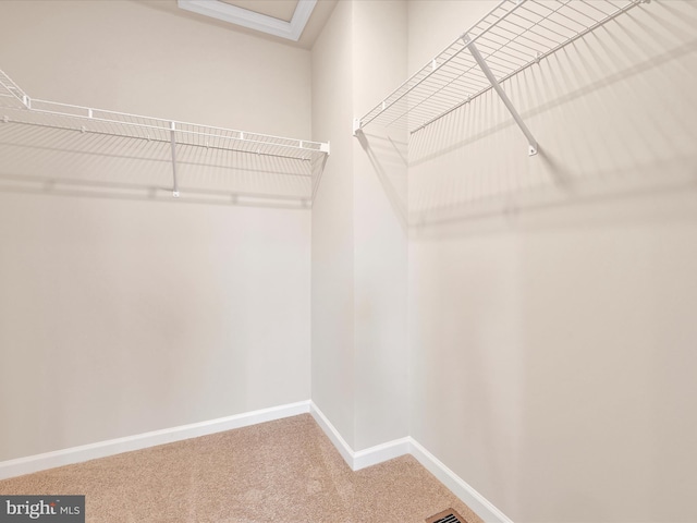 spacious closet featuring carpet flooring