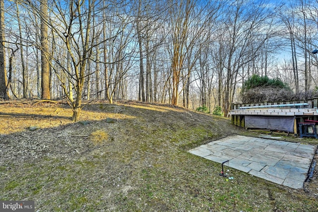 view of yard with a patio area