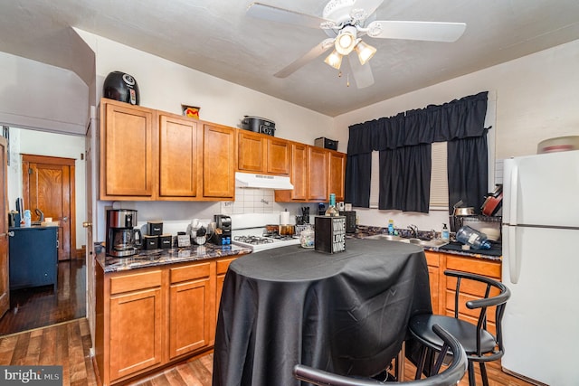 kitchen with ceiling fan, under cabinet range hood, wood finished floors, white appliances, and a sink