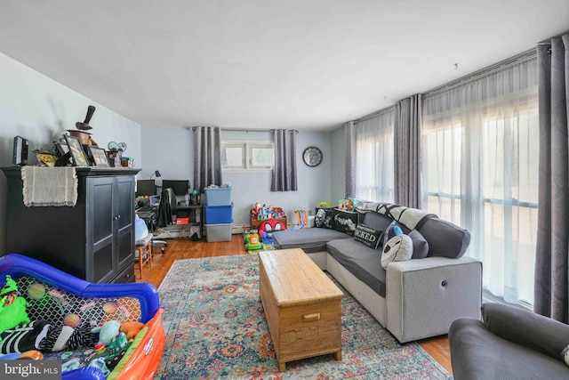 living room featuring wood finished floors