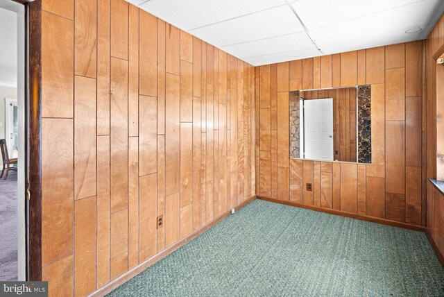 spare room with wooden walls and carpet