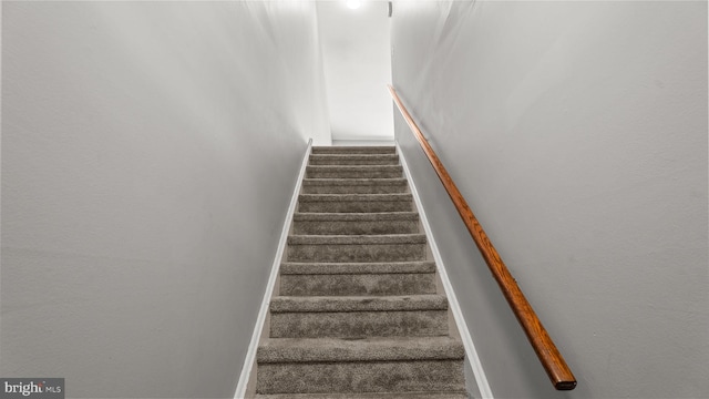 stairway featuring carpet flooring