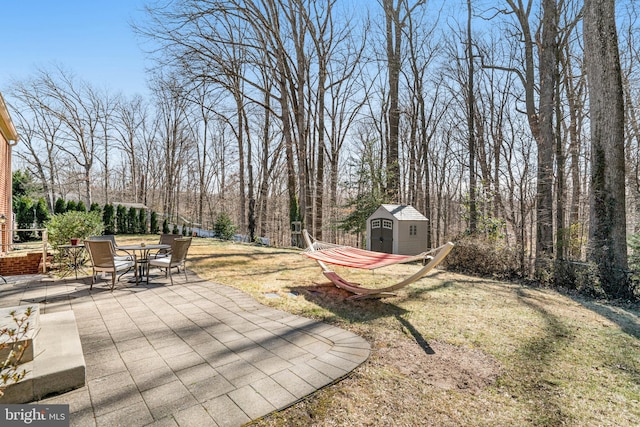 view of yard featuring a patio area, a shed, and an outdoor structure