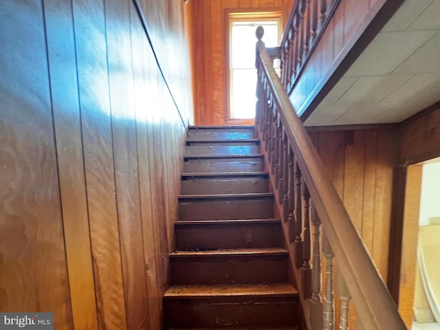 stairs featuring wooden walls