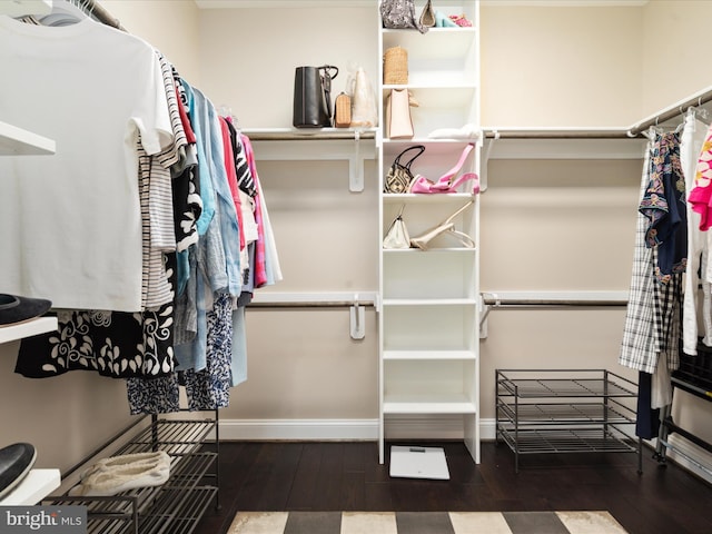 walk in closet with wood finished floors