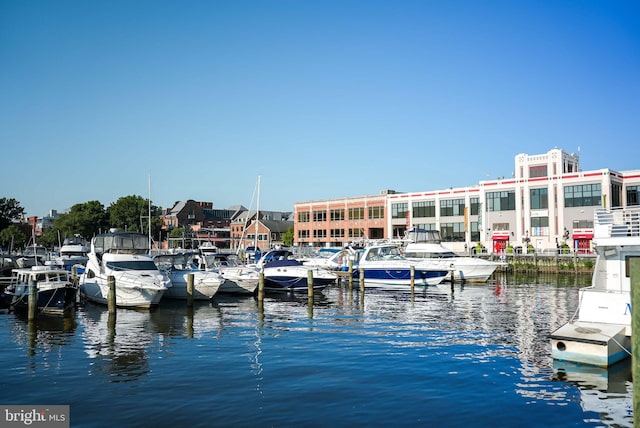 dock area with a water view