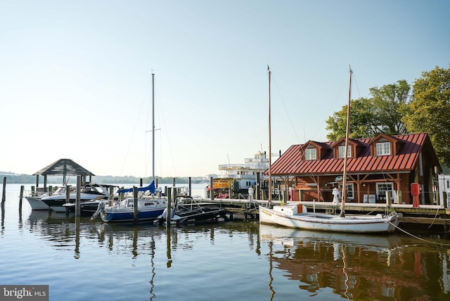 dock area with a water view