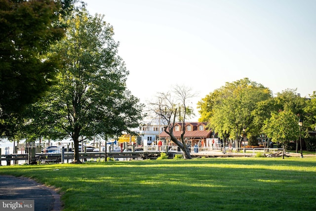 view of community featuring a yard