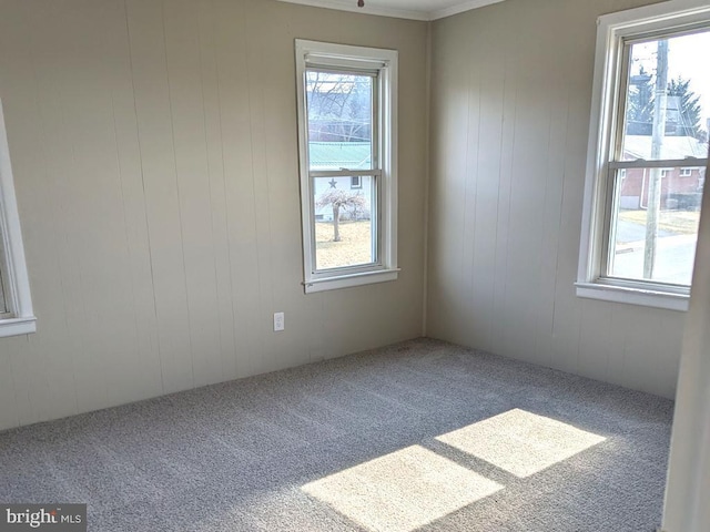 carpeted empty room featuring a wealth of natural light