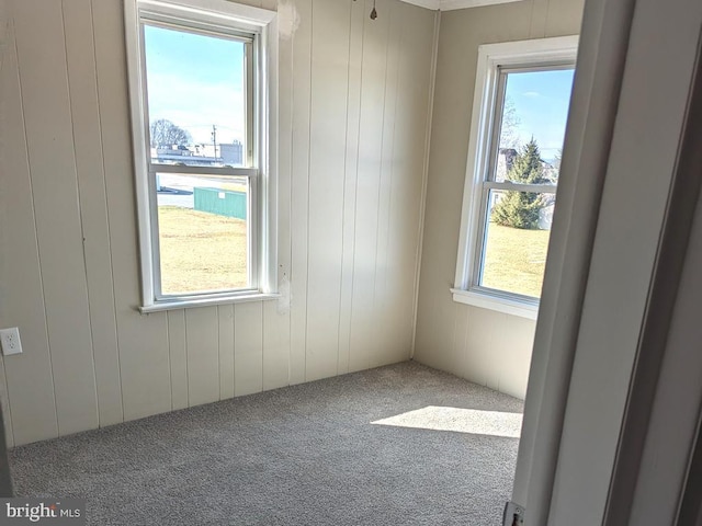 empty room featuring carpet