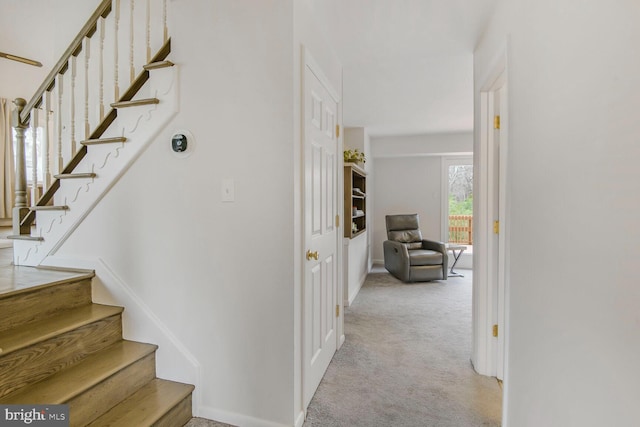 staircase featuring carpet flooring