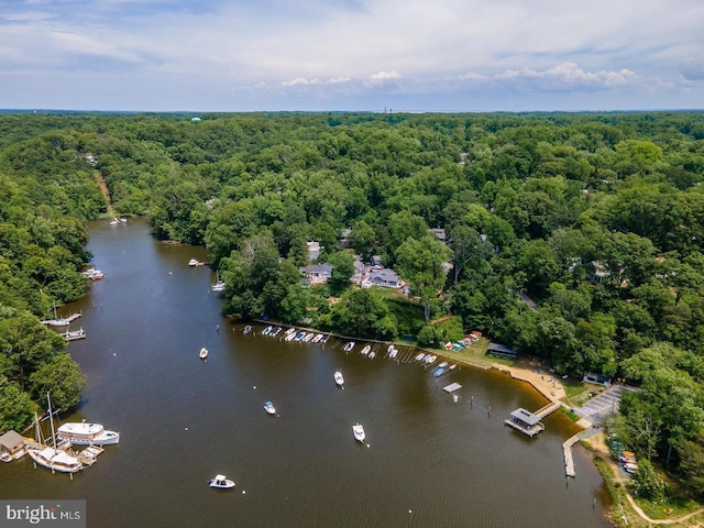 birds eye view of property with a water view and a forest view