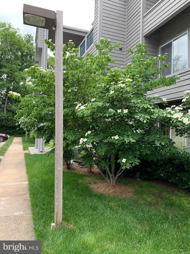 view of home's community with a yard