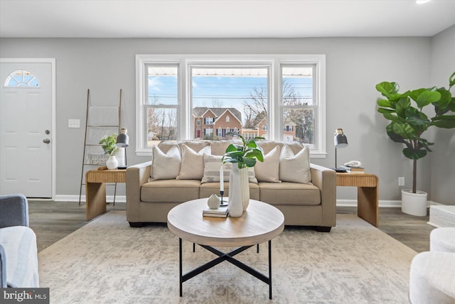 living area featuring baseboards and wood finished floors