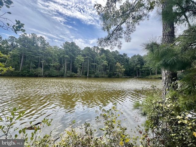 Listing photo 2 for LOT18 Mob Neck Rd, Heathsville VA 22473