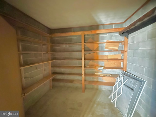 unfinished basement with concrete block wall