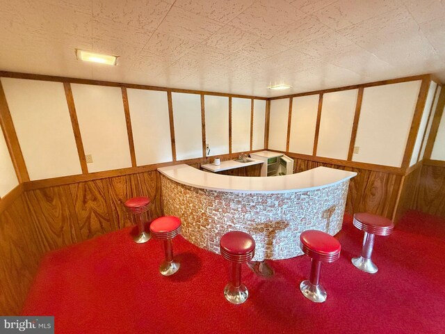 bar with a decorative wall and a wainscoted wall