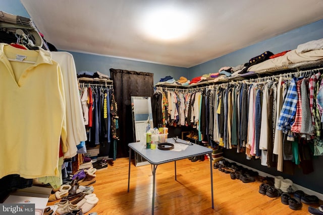 spacious closet featuring wood finished floors