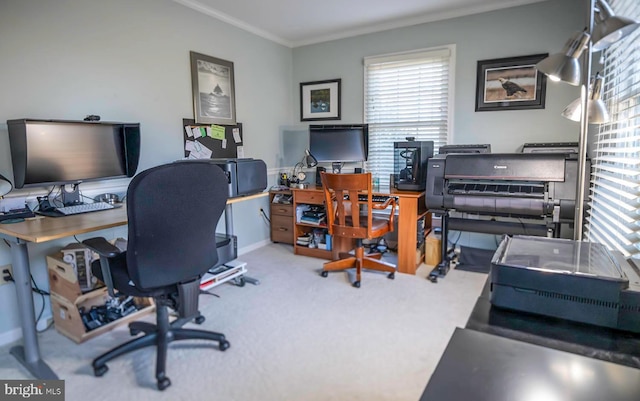 home office with carpet, ornamental molding, and baseboards