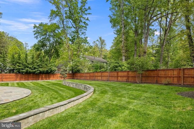 7911 Fort Hunt Rd, Alexandria, VA 22308 - view of yard