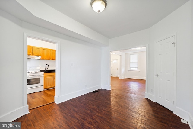 unfurnished room with dark wood-style floors, a sink, and baseboards