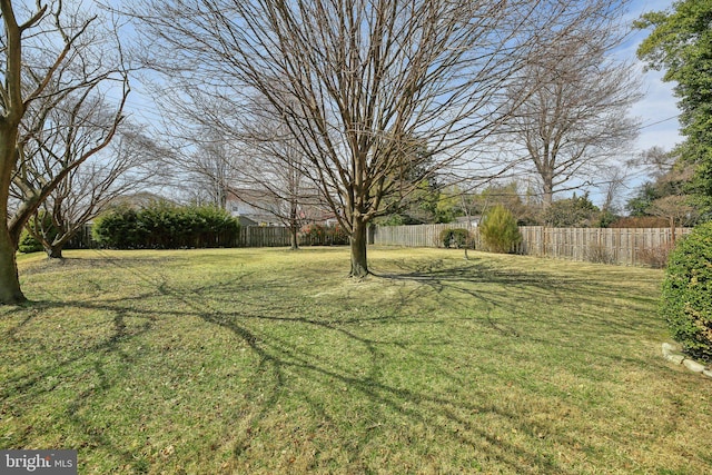 view of yard featuring fence