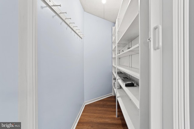 walk in closet featuring dark wood-style flooring