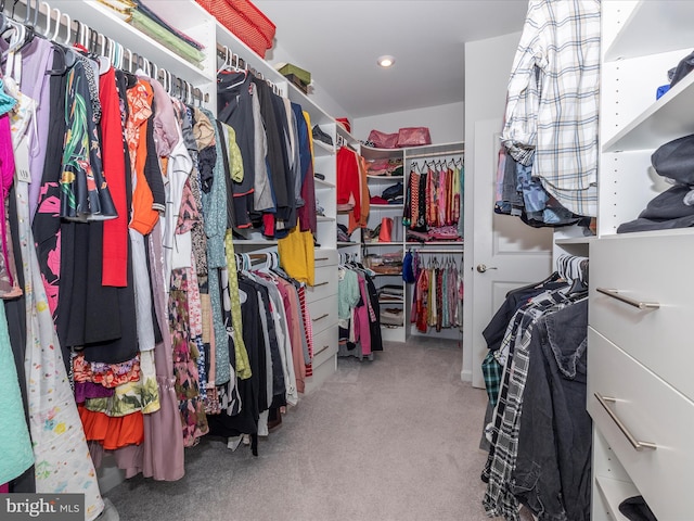 spacious closet with carpet flooring