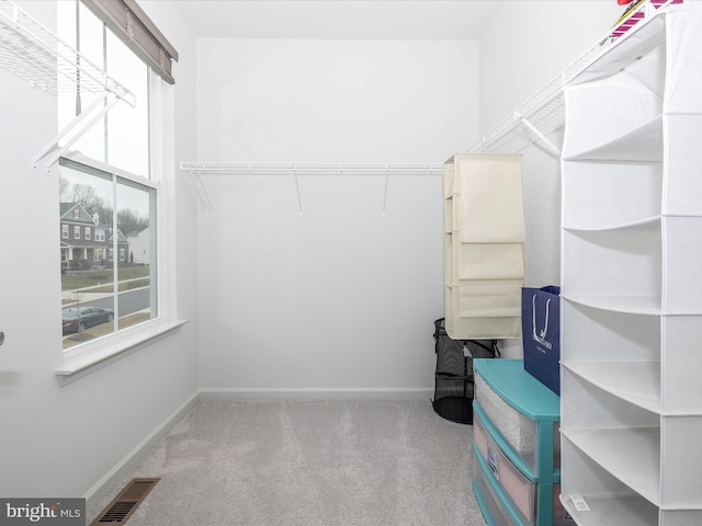 walk in closet featuring visible vents and carpet floors