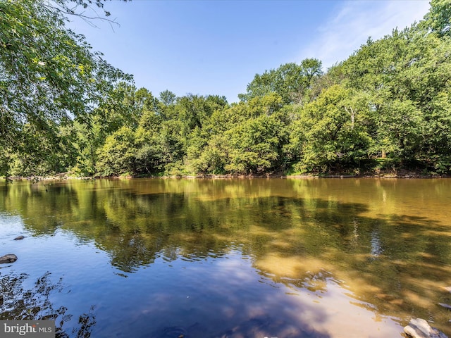 property view of water featuring a wooded view