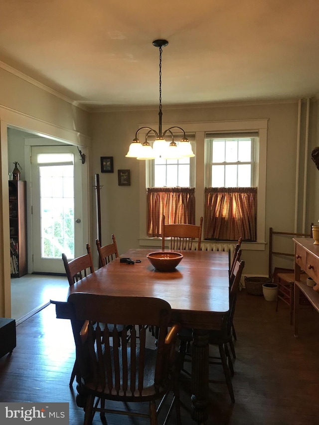 dining room featuring a chandelier, wood finished floors, and crown molding