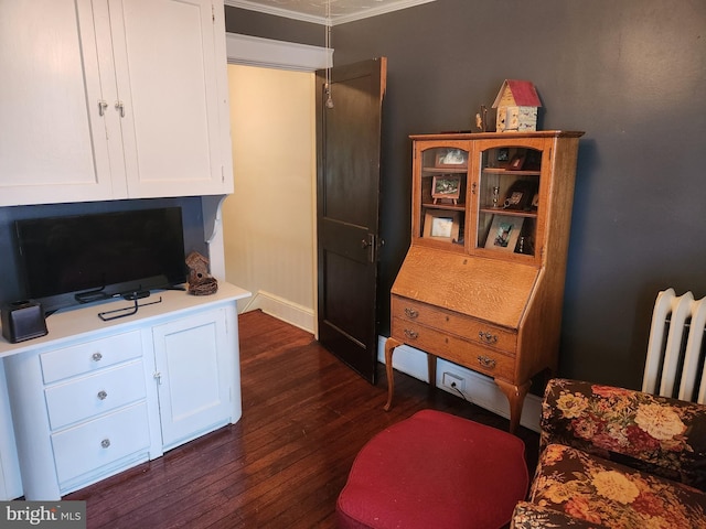 interior space featuring dark wood-style flooring and radiator heating unit