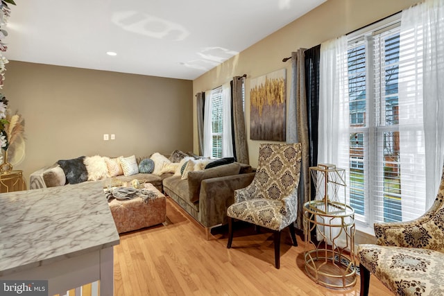 living area with light wood-type flooring