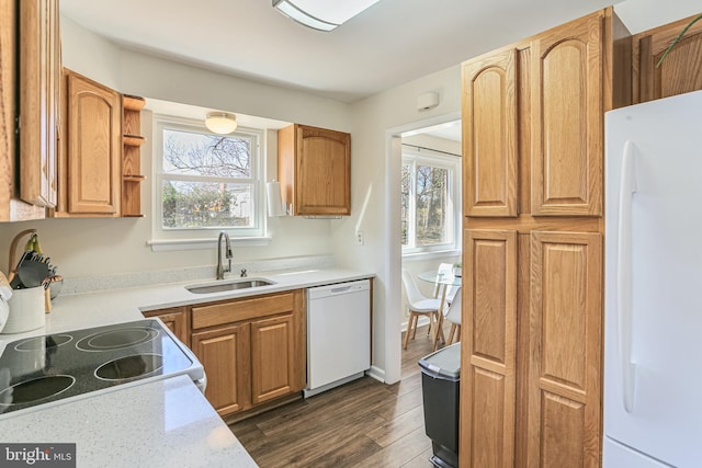 kitchen with a sink, white appliances, plenty of natural light, and light countertops