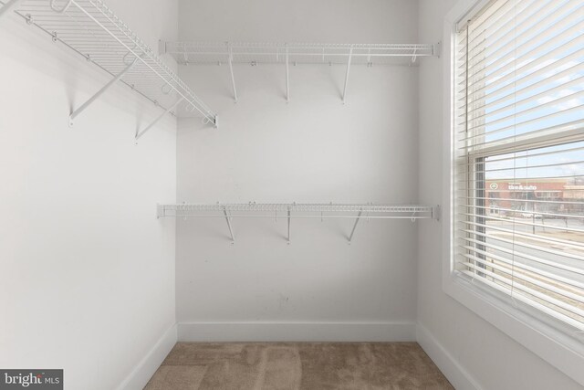 walk in closet with light colored carpet