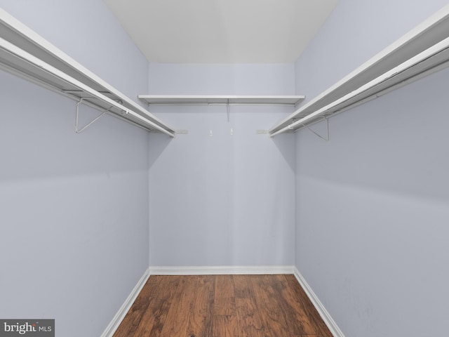 spacious closet featuring wood finished floors