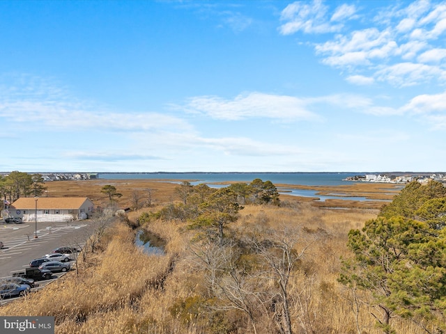 property view of water