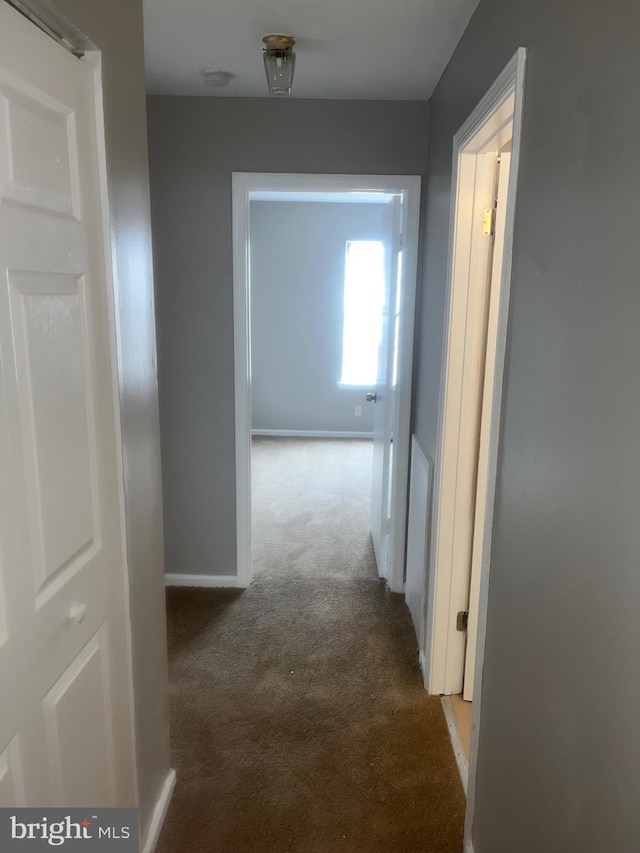 hall with baseboards and carpet flooring