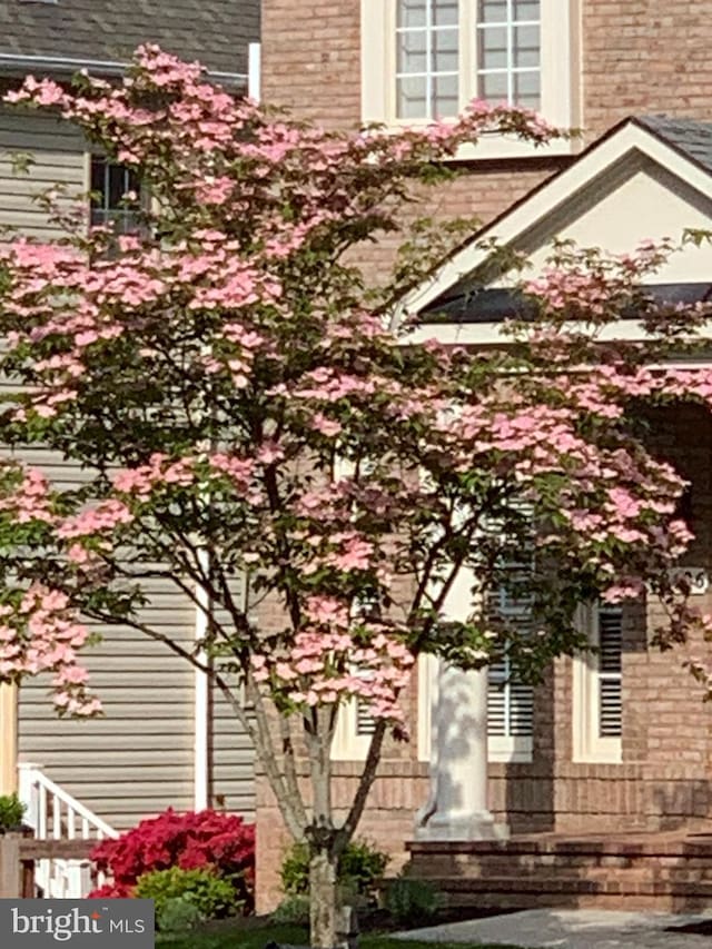 view of home's exterior with roof with shingles