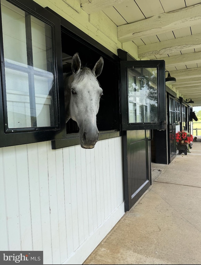 view of horse barn