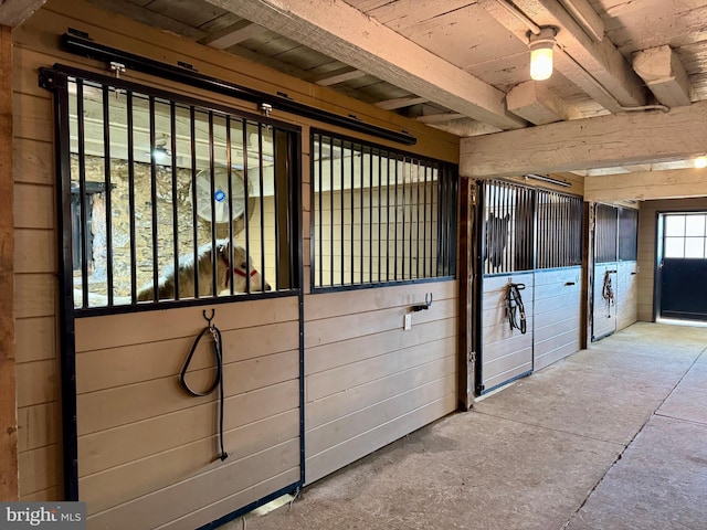 view of stable with washer and clothes dryer