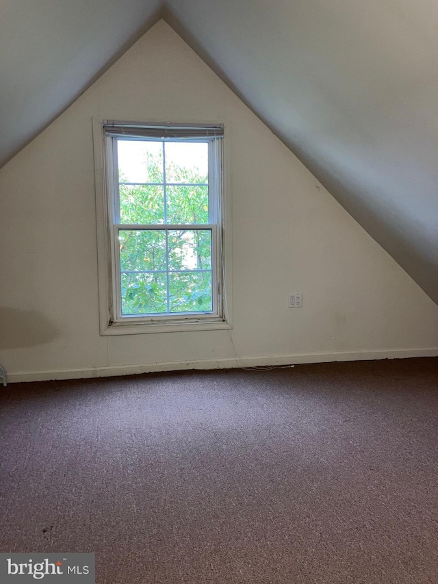 additional living space with carpet floors and vaulted ceiling