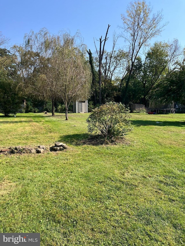 view of yard featuring a storage unit and an outdoor structure