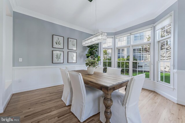 dining area featuring crown molding, wainscoting, wood finished floors, and a wealth of natural light