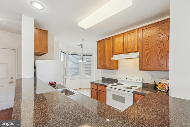 kitchen with under cabinet range hood, decorative light fixtures, brown cabinetry, white appliances, and a sink